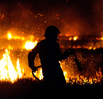 Firefighter with a hose in a forest fire